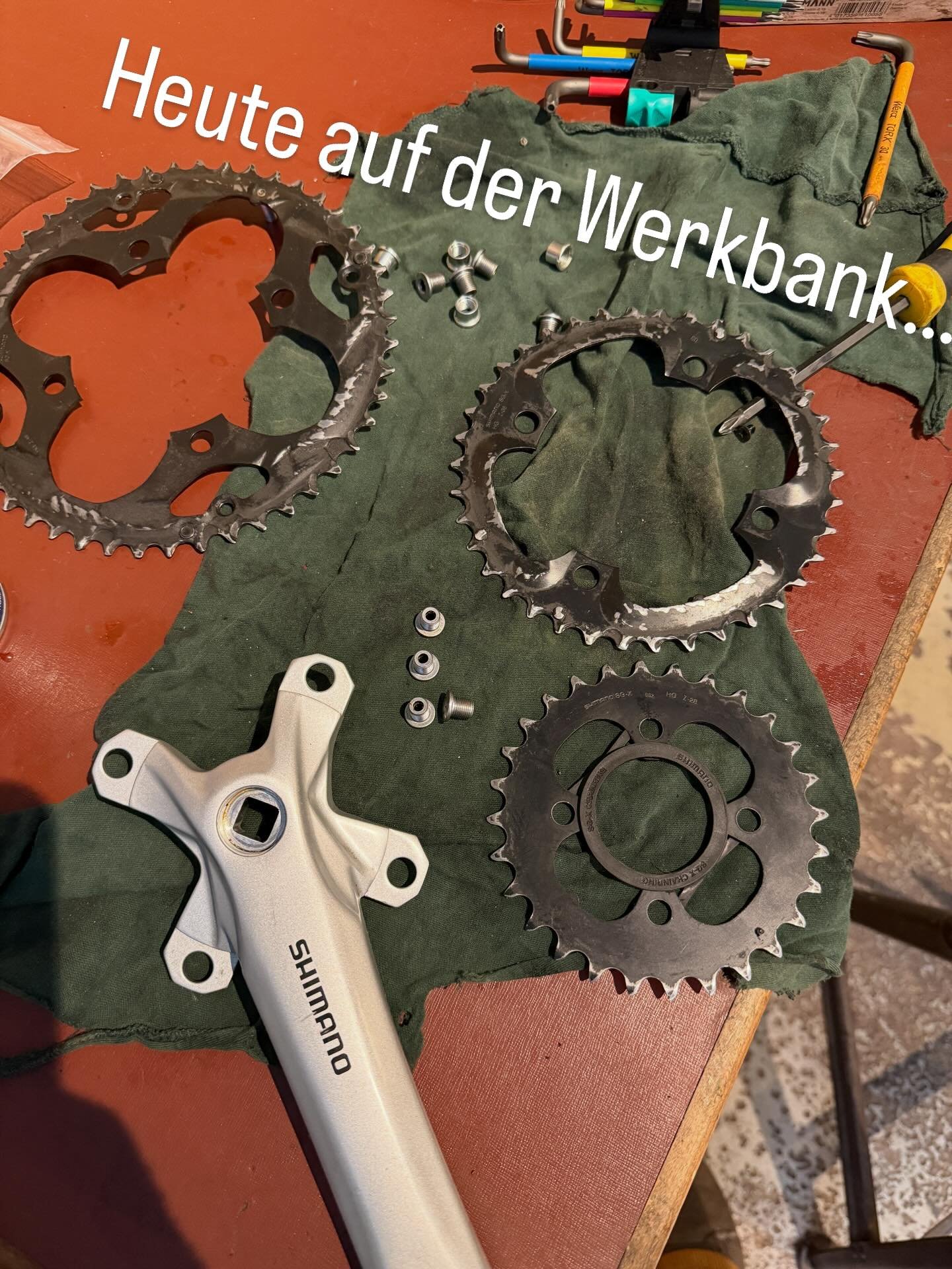 Ist die Kette verschlissen,sollte man immer auch das Kettenblatt prüfen.Sonst nutzt sich die neue Kette sofort wieder ab.#fahrrad #rennrad #fahrradservice #Inspektion #bikelife